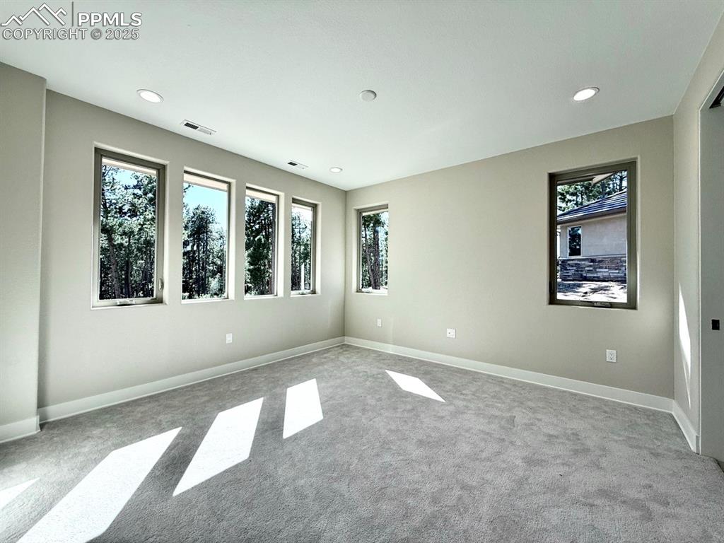 Main Level Primary Suite with Large Windows into the Forest and Carpeting.
